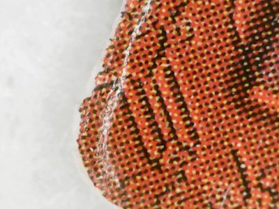 SN0067