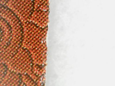 SN0068