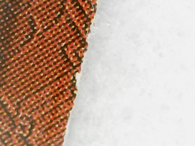 SN0069