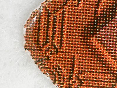 SN0069