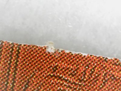SN0070