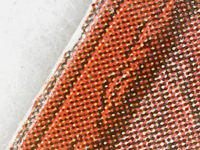 SN0071