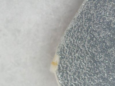 SN0079