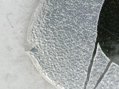 SN0081