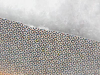 SN0138
