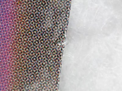 SN0141