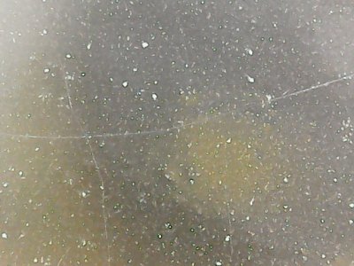 SN0168
