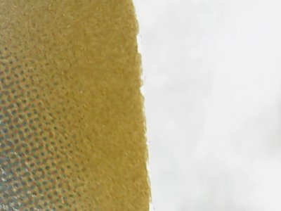 SN0184