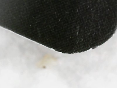 SN0194