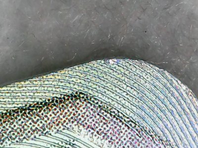 SN0217