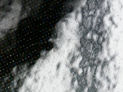 SN0229
