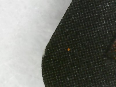 SN0236