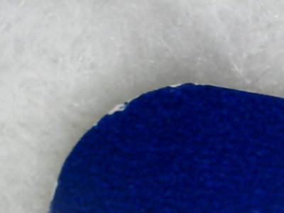 SN0250
