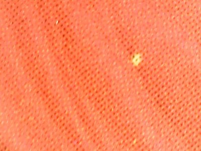 SN0276