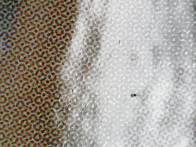 SN0292