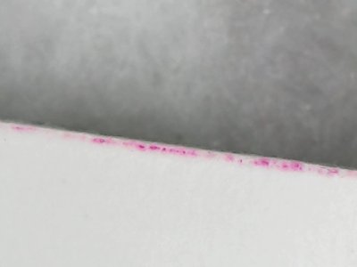 SN0293