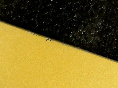 SN0348