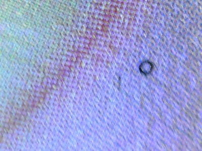 SN0358