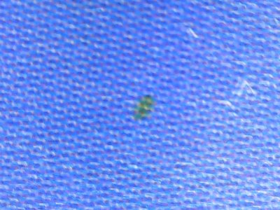 SN0387
