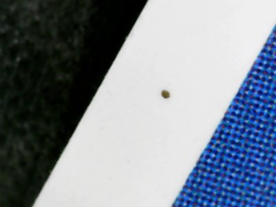 SN0398
