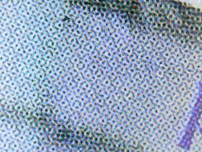 SN0401