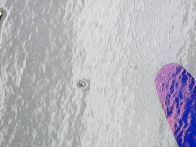 SN0421