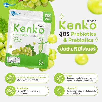 Kenko Gummies 67 g.