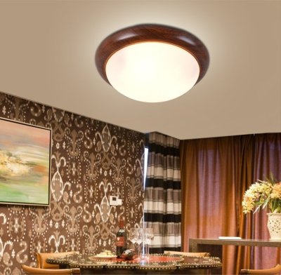 โคมไฟเพดาน 3009