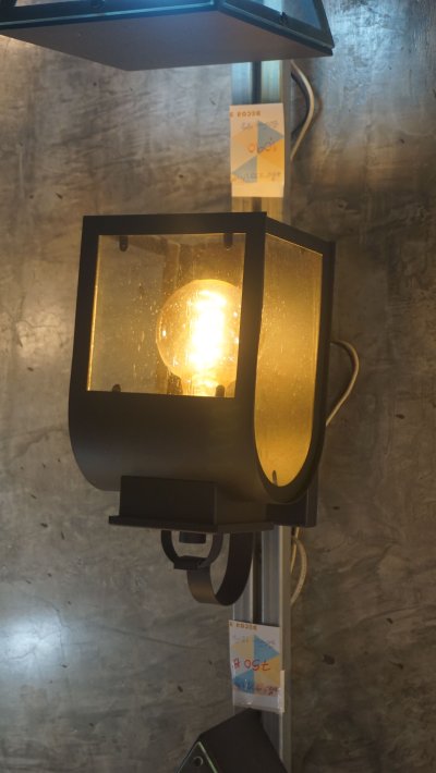 โคมไฟกิ่งนอก2333/1W