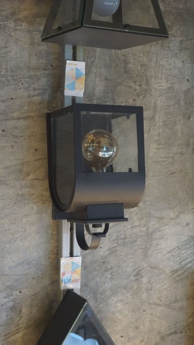 โคมไฟกิ่งนอก2333/1W