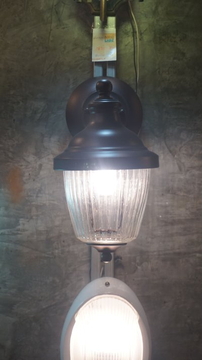 โคมไฟกิ่งนอก 2172/1W