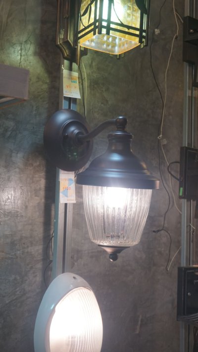 โคมไฟกิ่งนอก 2172/1W