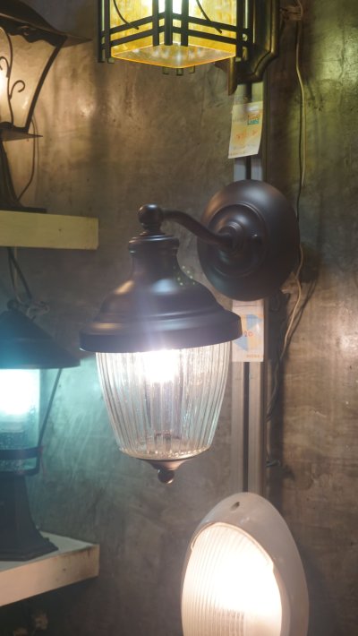 โคมไฟกิ่งนอก 2172/1W