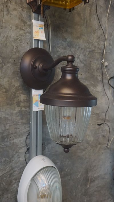 โคมไฟกิ่งนอก 2172/1W