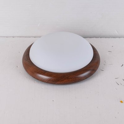 โคมไฟเพดาน 3009