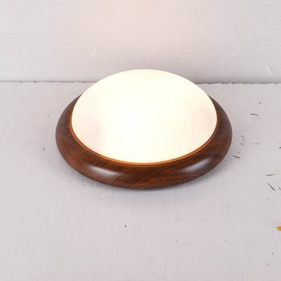 โคมไฟเพดาน 3009