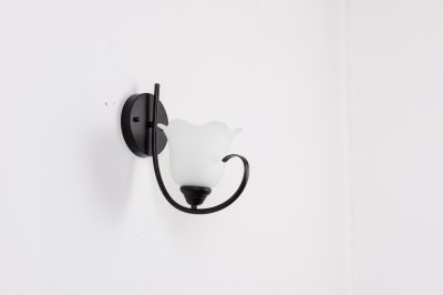 โคมไฟกิ่งใน ติดผนัง รุ่น 8019-1