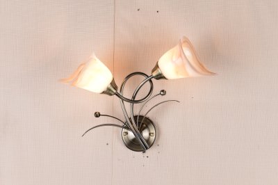 โคมไฟกิ่งใน ติดผนัง ทรงดอกไม้ รุ่น 89106-2W