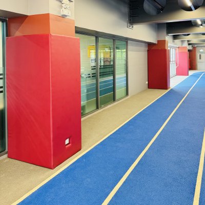 wall padding for gym