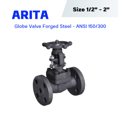 ARITA FGL-F2 & F5 Globe Valve Forged Steel Flange ANSI