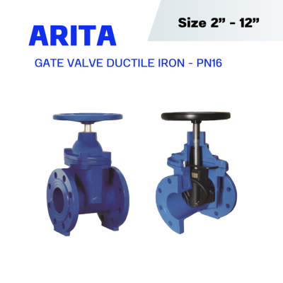 ARITA GATE VALVE DUCTILE IRON PN16 (IRGA-NRS-F3)
