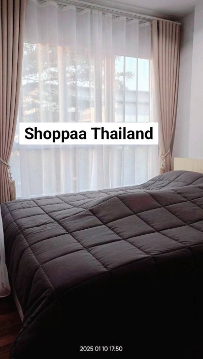 ม่านลอนสีเทาขายดีNO.1