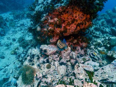 Chumphon-Koh Tao , June 2022