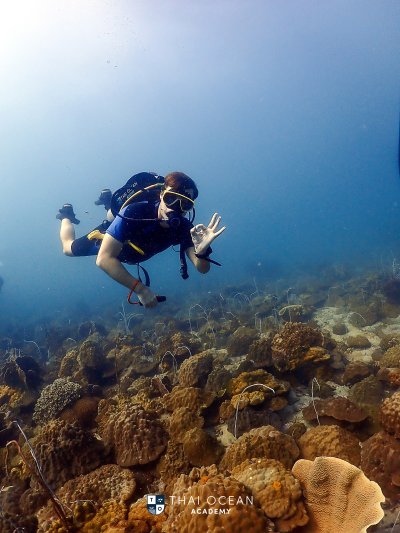 Koh Chang New years 2022