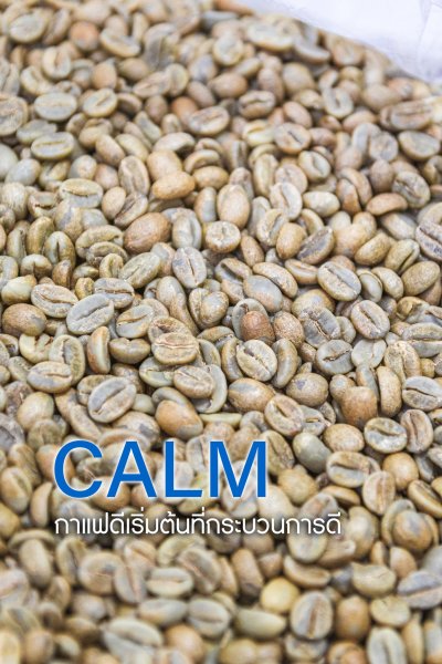 Calm (Yeast Dry Process x LTLH)