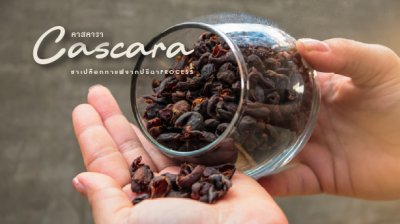 cascara from LTLH process