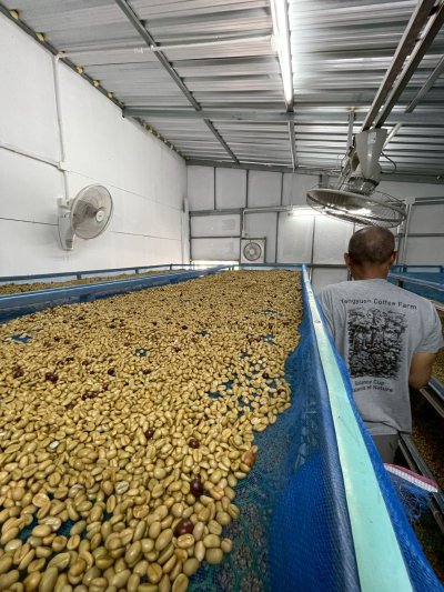 Wash Huai Khwak SCM LTLH Wash Huai Khwak SCM LTLH