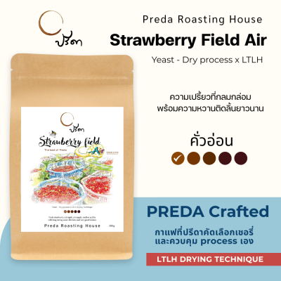 Strawberry field Air (Yeast Dry Process x LTLH)