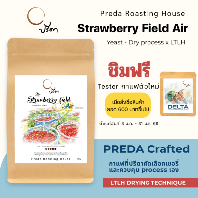 Strawberry field Air (Yeast Dry Process x LTLH)