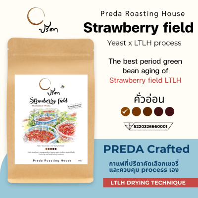 Strawberry field (Yeast Dry Process x LTLH) Strawberry field (Yeast Dry Process x LTLH)